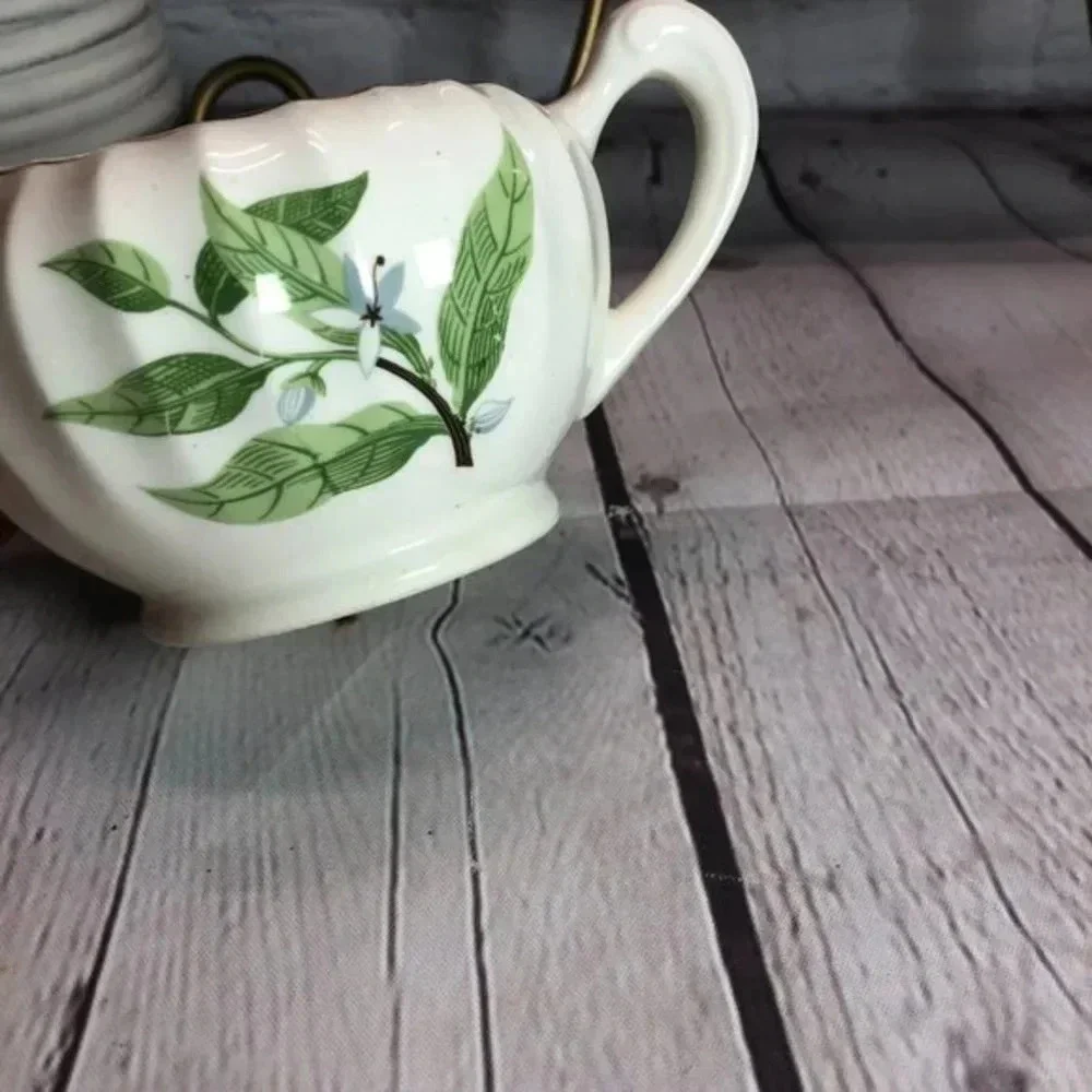 vtg 1950s W.S. GEORGE Bolero Dinnerware Cottagecore floral mid-century classic